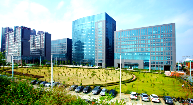 企业网站图文排版设计要点与新乡县本地服务实践